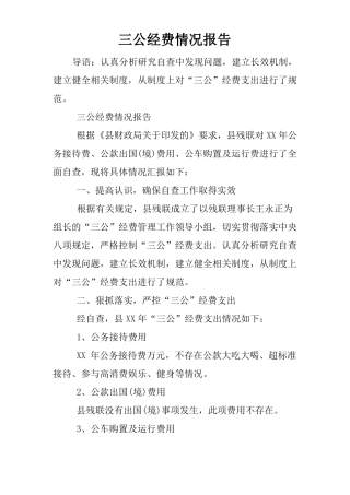三公经费情况报告