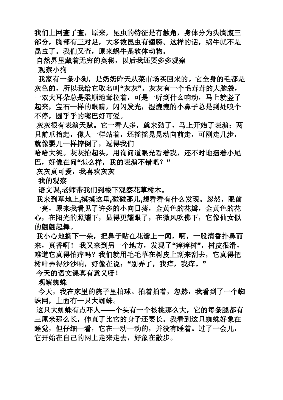 三年级作文之三年级观察事物的作文_第2页