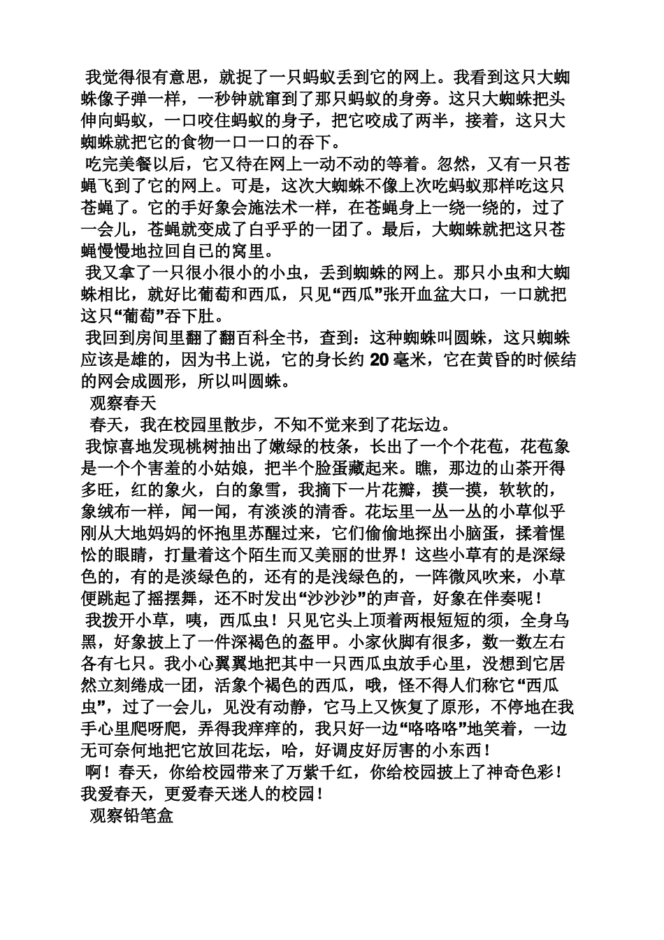 三年级作文之三年级观察事物的作文_第3页