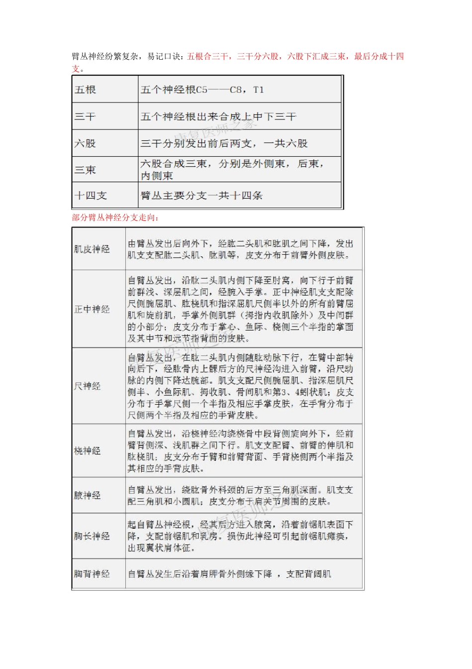 上肢周围神经卡压_第2页