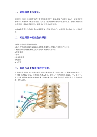 上肢周围神经卡压
