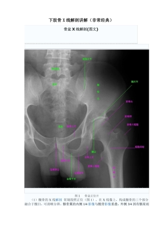 下肢骨X线解剖讲解非常经典