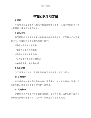 导管团队计划方案