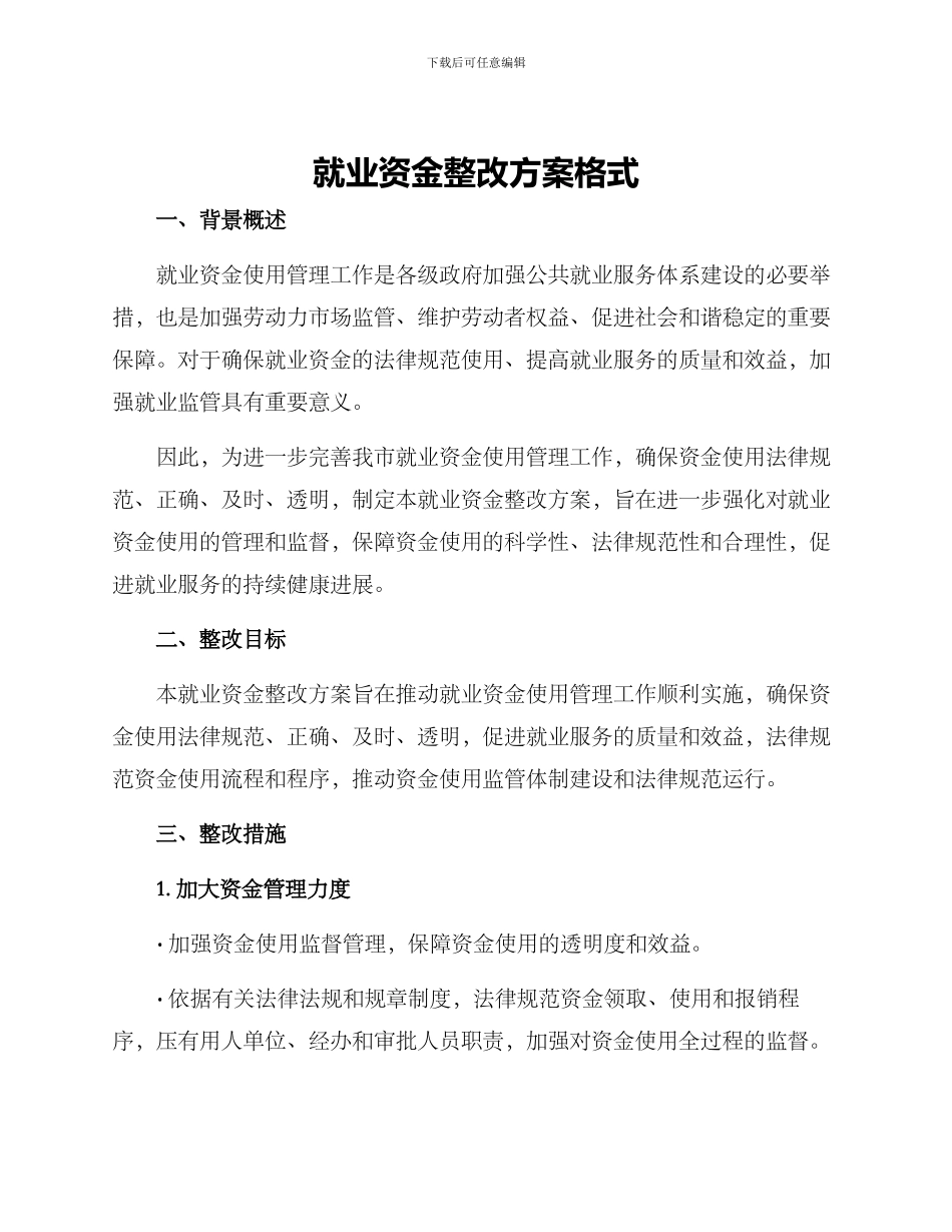 就业资金整改方案格式_第1页