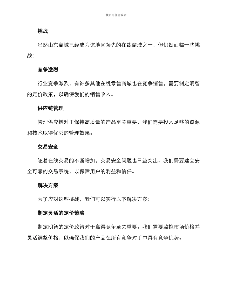 山东商城运营方案_第2页