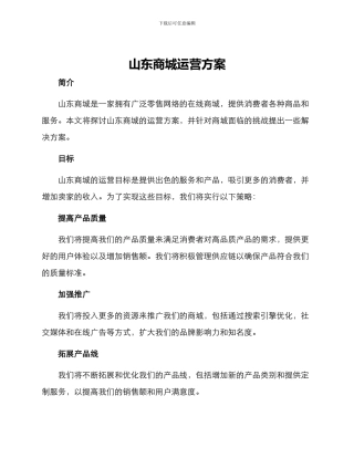 山东商城运营方案