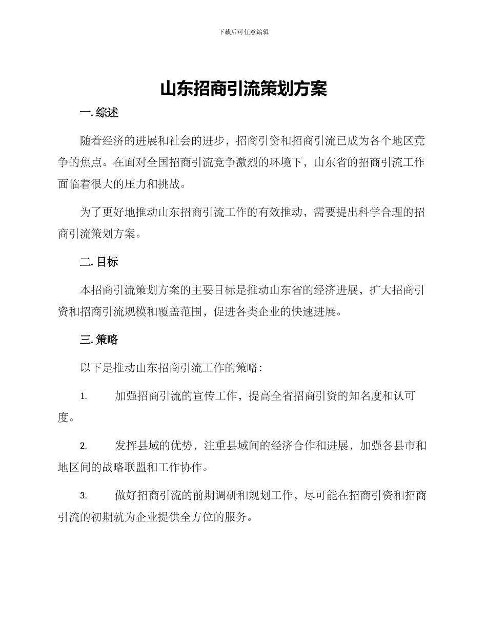 山东招商引流策划方案_第1页