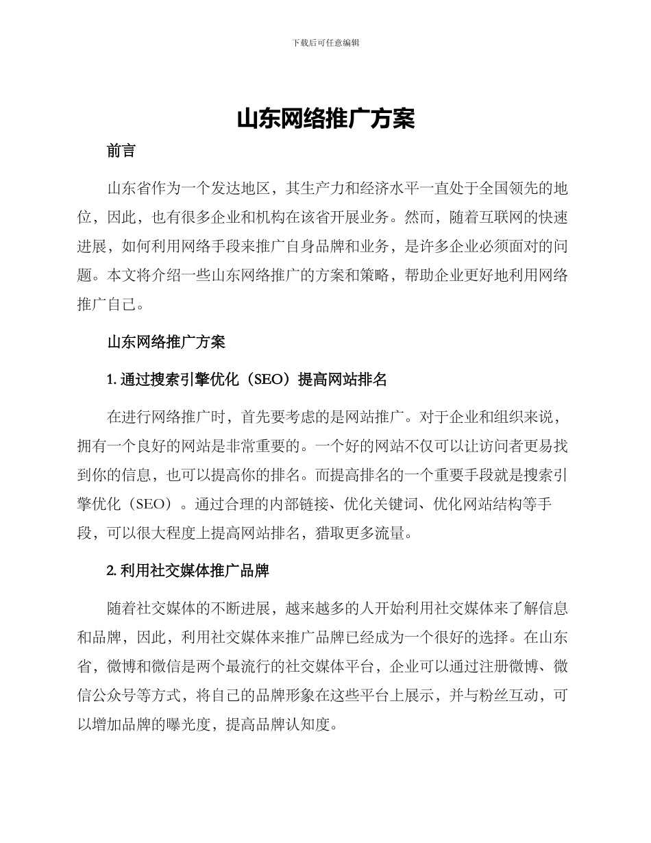 山东网络推广方案_第1页