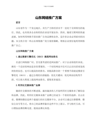 山东网络推广方案
