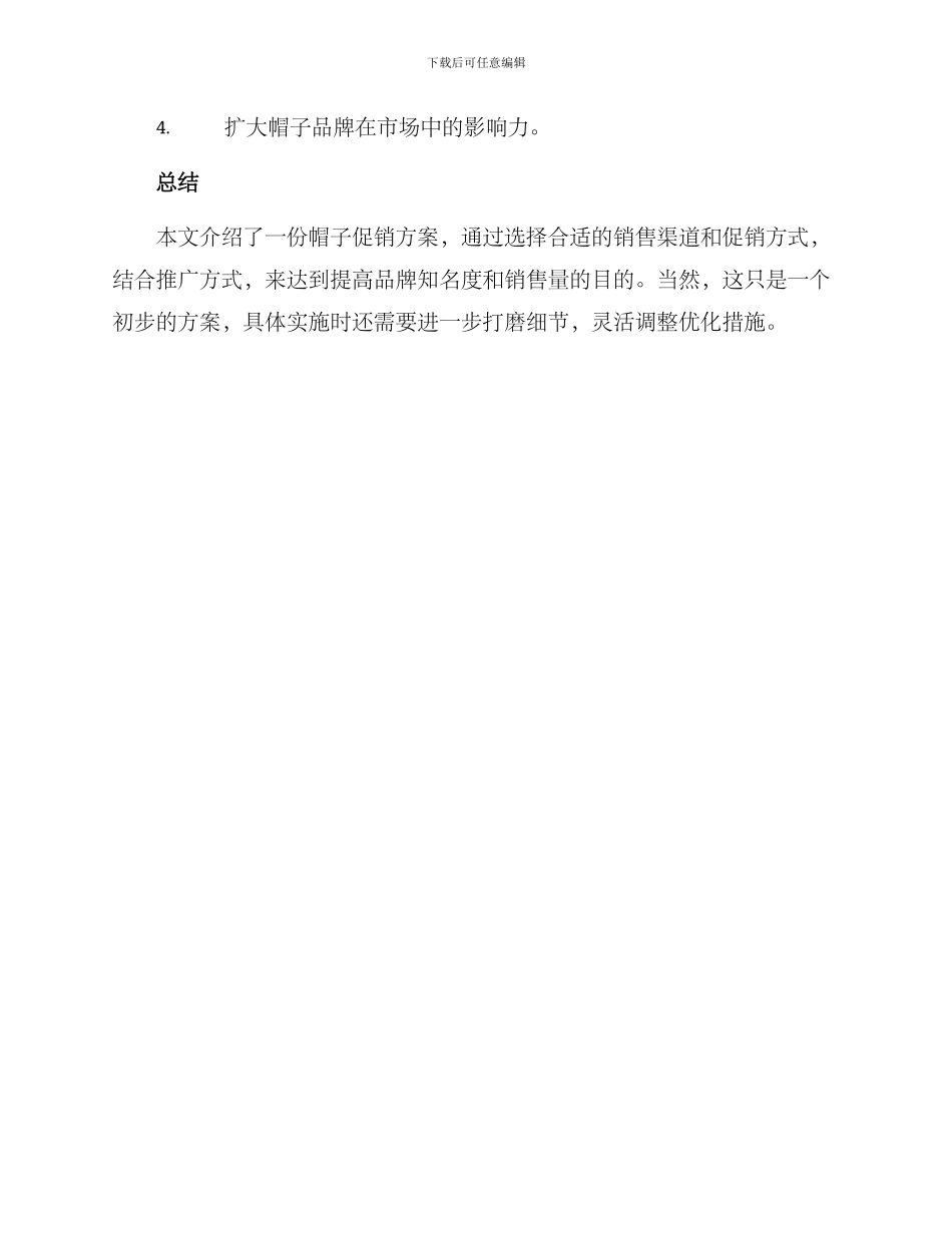 帽子促销方案_第3页