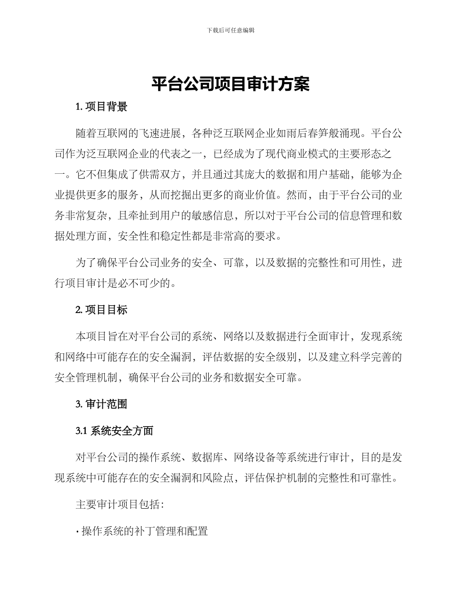 平台公司项目审计方案_第1页