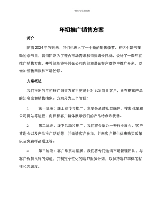 年初推广销售方案