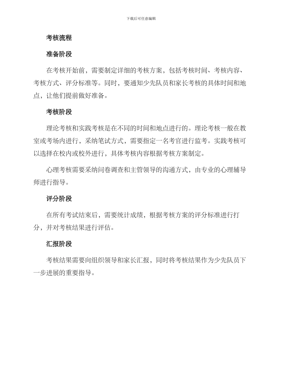 年度少先队考核方案_第2页