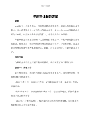年薪审计服务方案