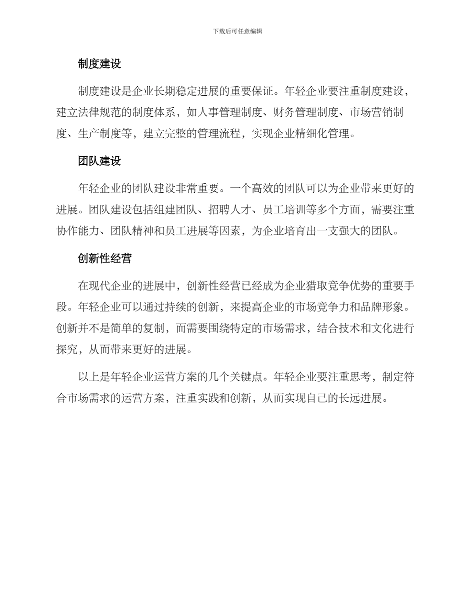 年轻企业运营方案_第2页