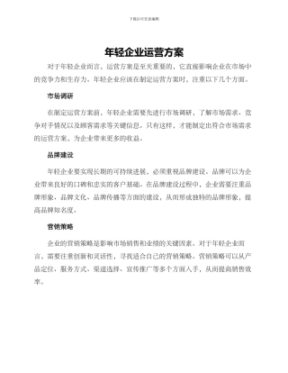 年轻企业运营方案