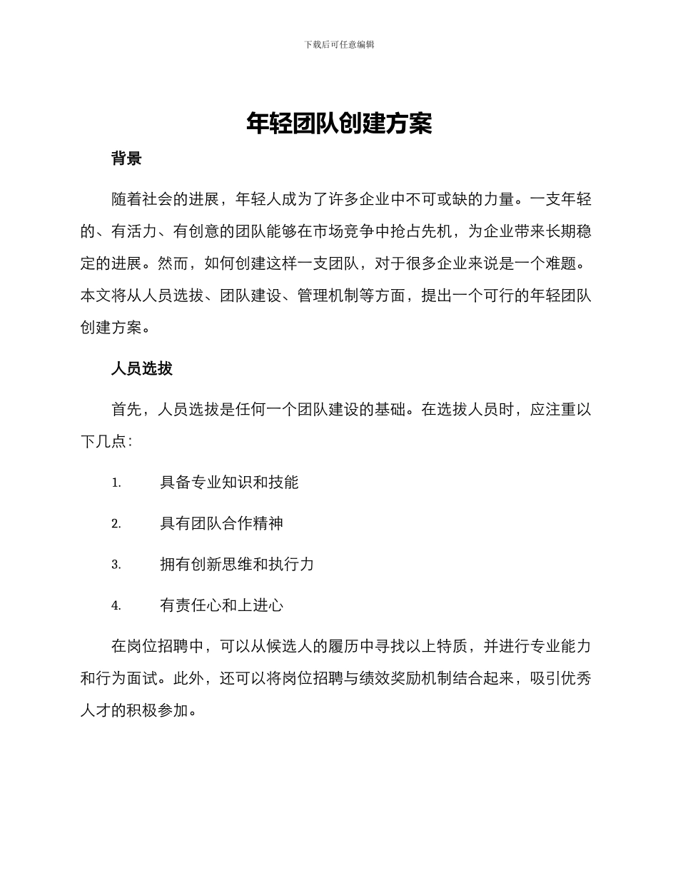 年轻团队创建方案_第1页