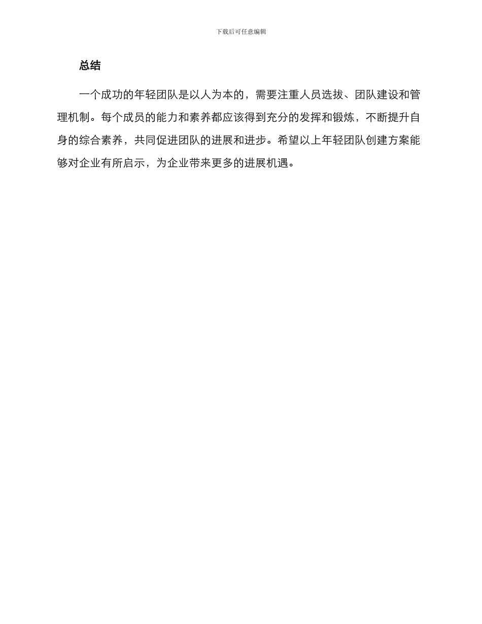 年轻团队创建方案_第3页