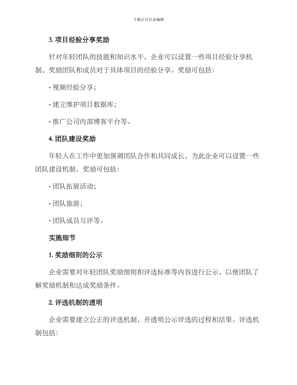 年轻团队奖励方案_第2页