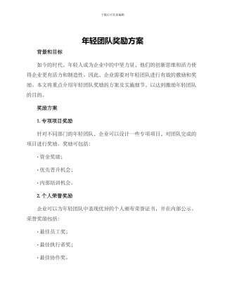 年轻团队奖励方案