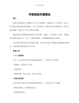开发奖惩方案格式