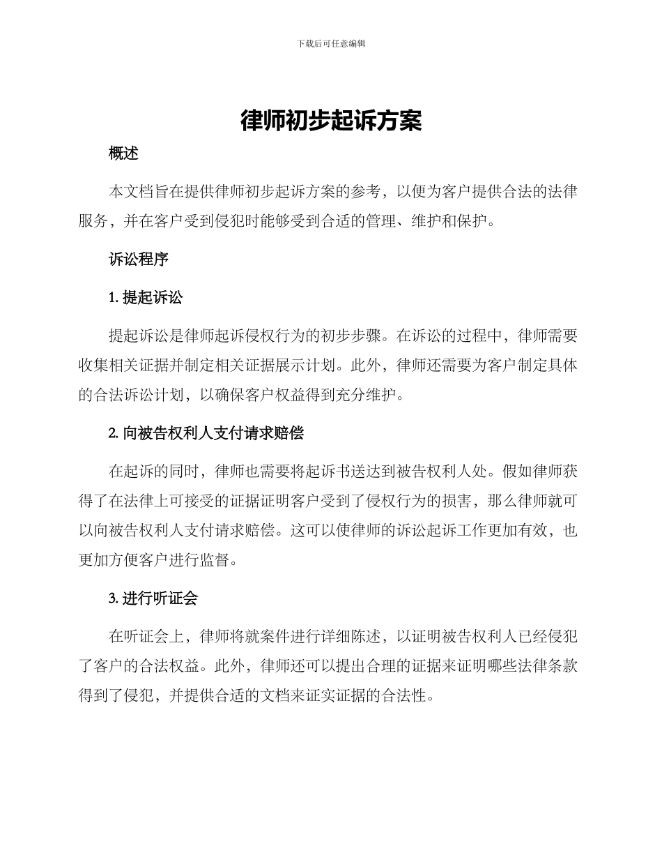 律师初步起诉方案_第1页