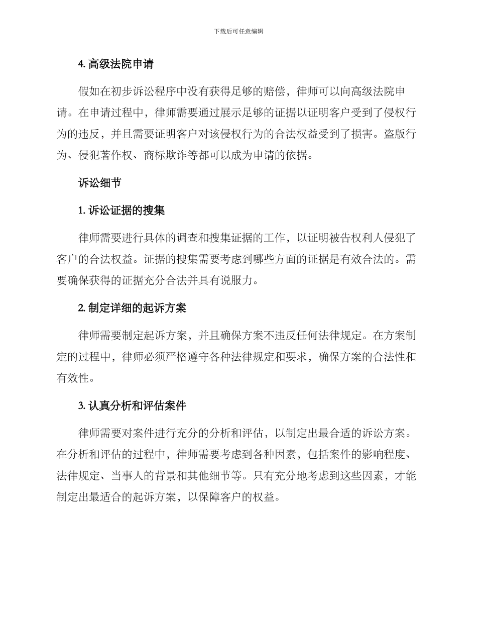 律师初步起诉方案_第2页
