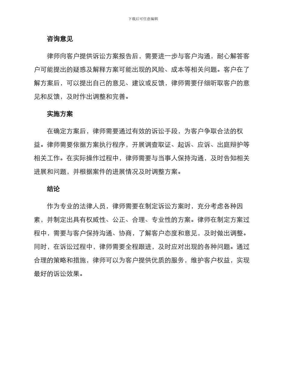 律师诉讼方案_第3页