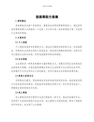 慈善筹款方案集