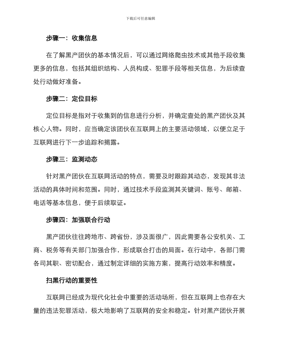 扫黑行动方案_第3页