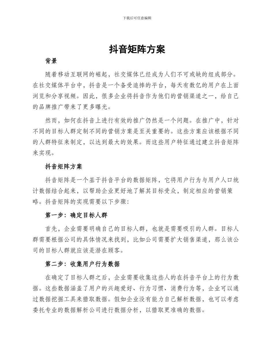 抖音矩阵方案_第1页