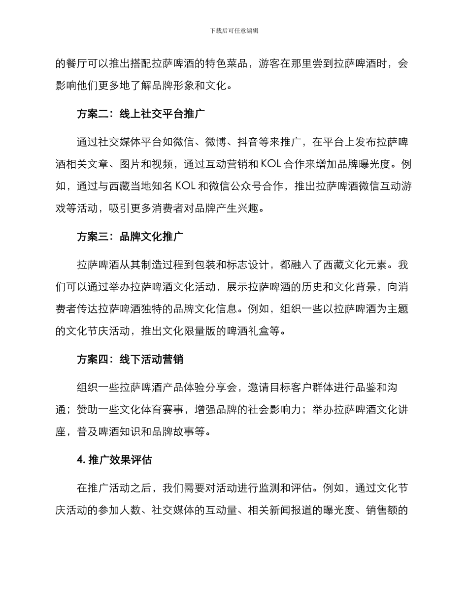 拉萨啤酒推广方案_第2页