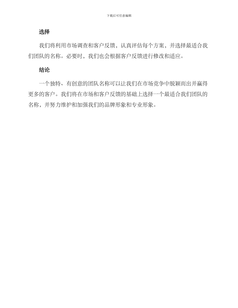 拍摄团队命名策划方案_第3页