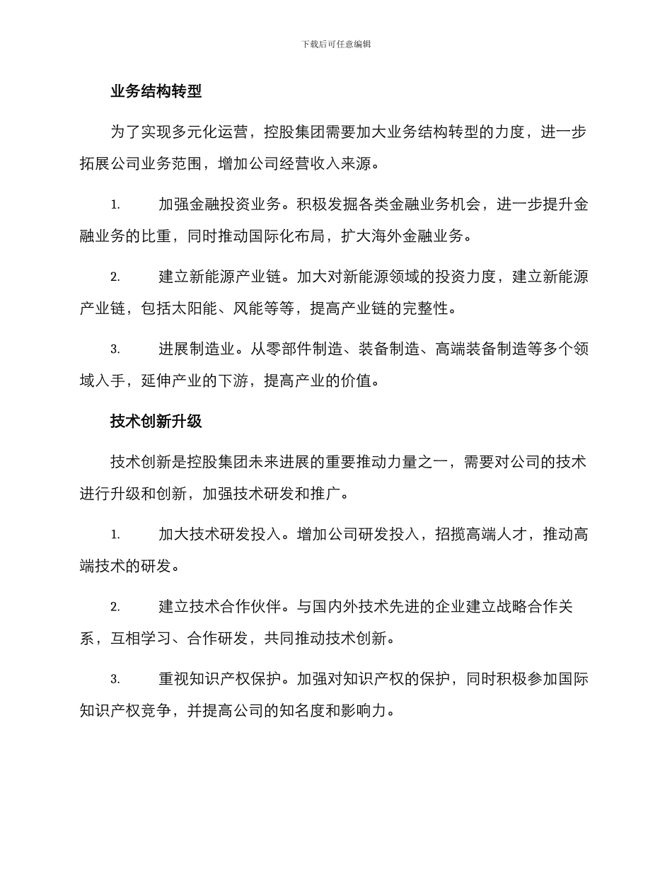 控股集团发展方案_第2页