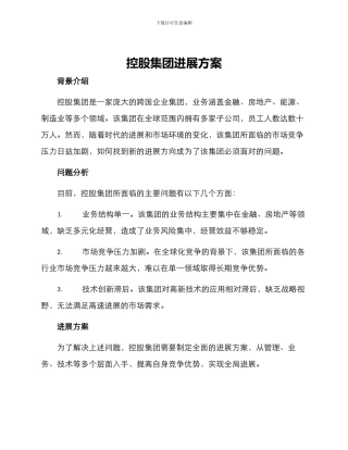 控股集团发展方案