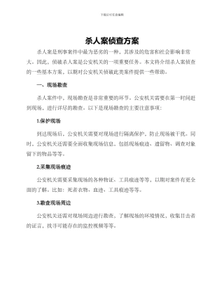 杀人案侦查方案