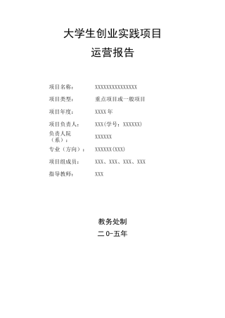 创业实践项目——运营报告模板