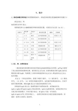 染色体核型简要说明