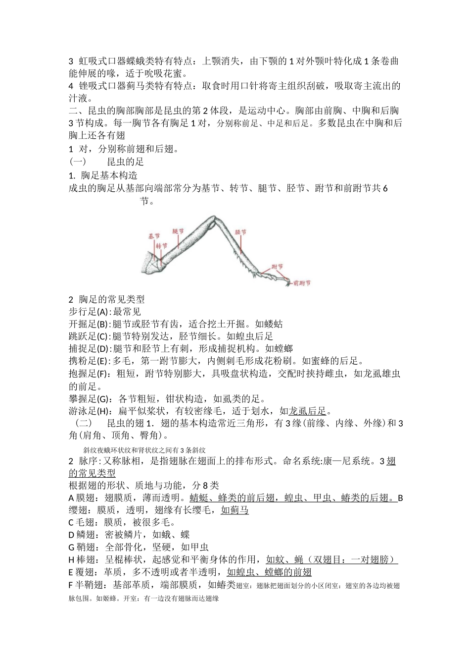 园林植物病虫害防治(植物虫害篇)_第2页