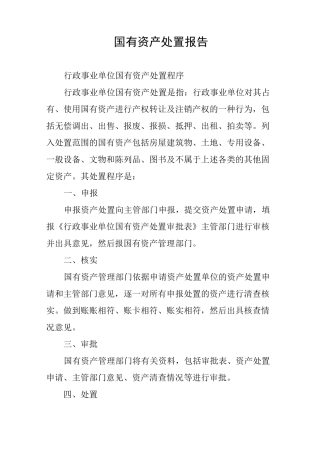 国有资产处置报告