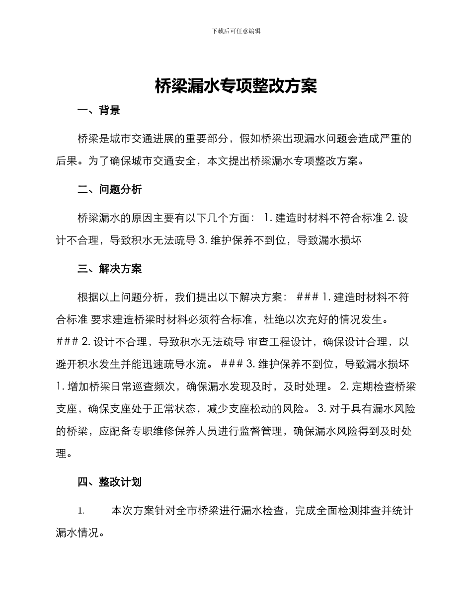 桥梁漏水专项整改方案_第1页