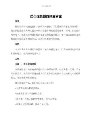 民生保险项目拓展方案