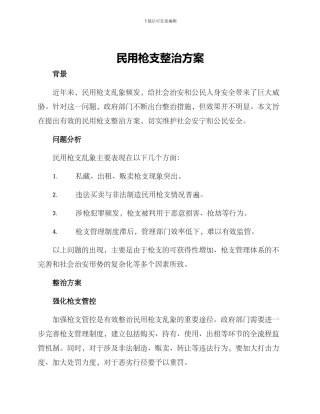 民用枪支整治方案
