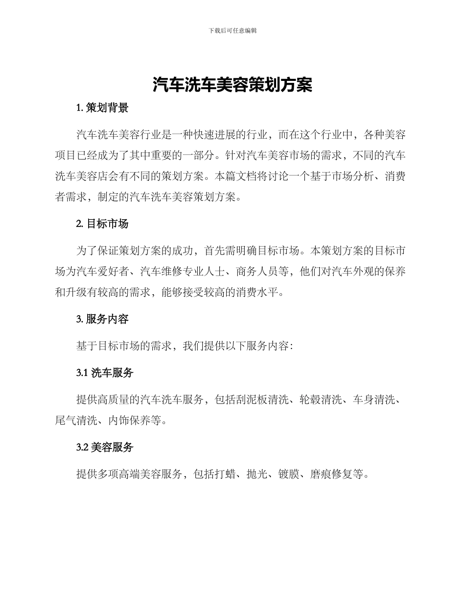 汽车洗车美容策划方案_第1页