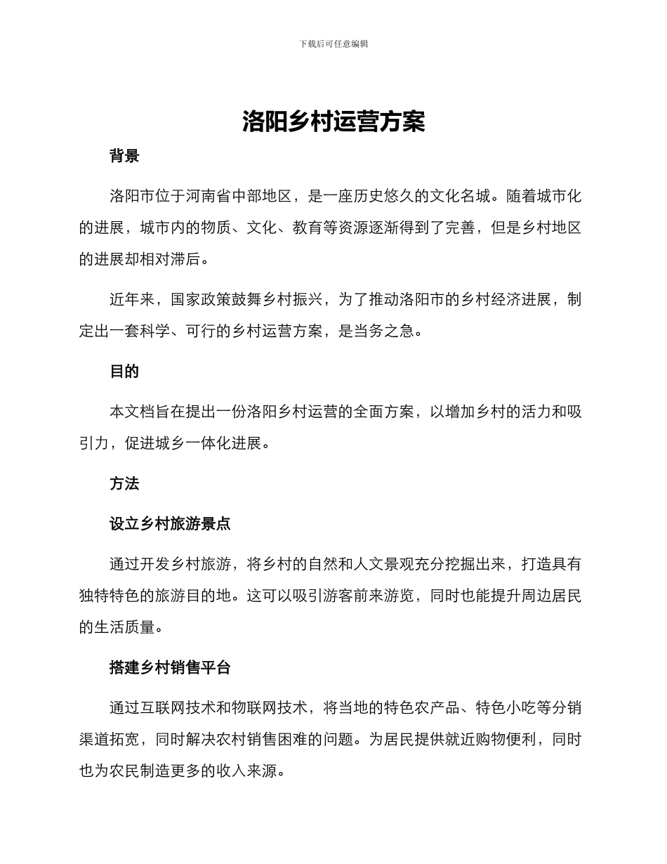 洛阳乡村运营方案_第1页