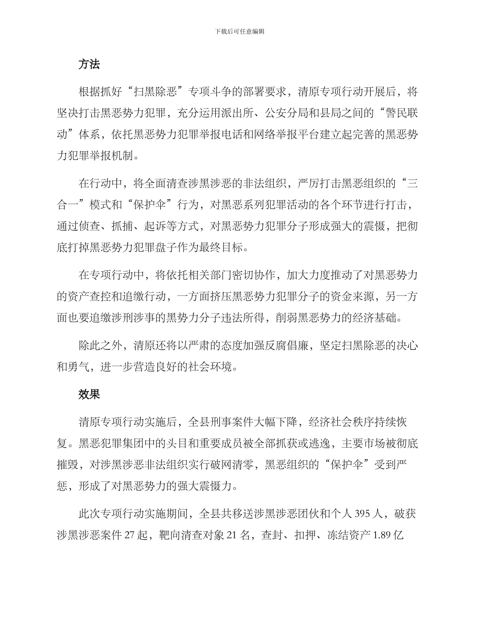 清原专项行动实施方案_第2页