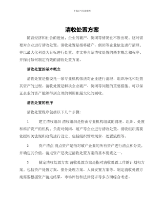 清收处置方案