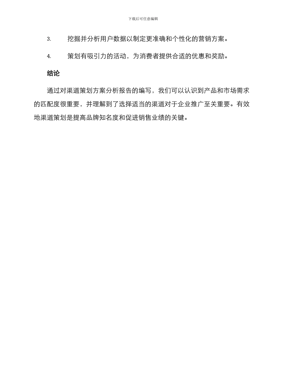 渠道策划方案分析报告_第3页