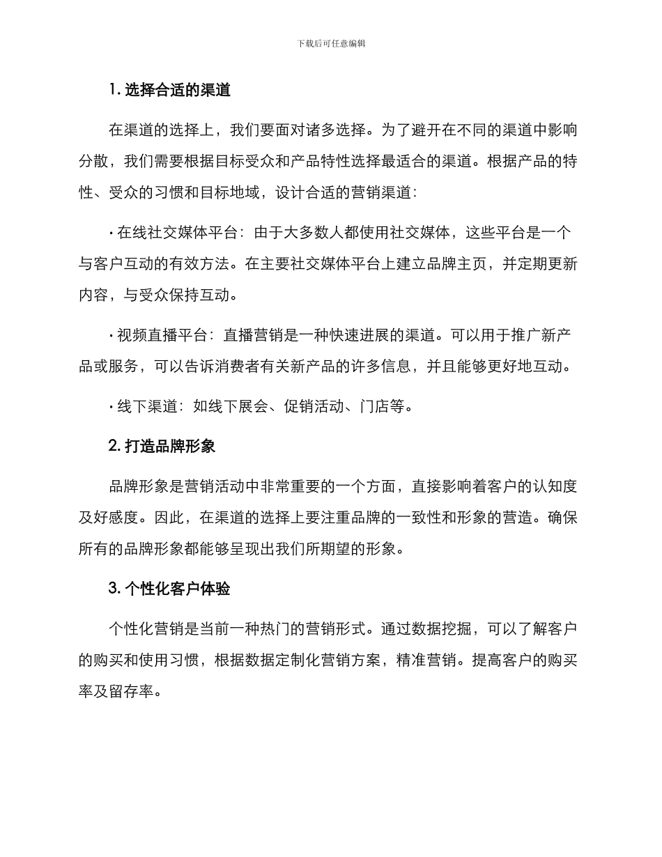 渠道营销策划方案_第2页