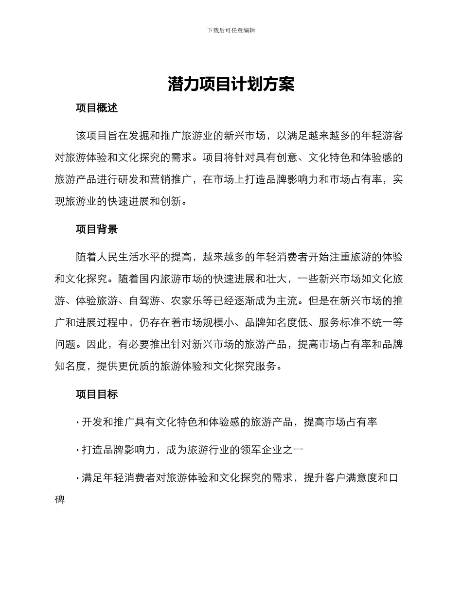 潜力项目计划方案_第1页